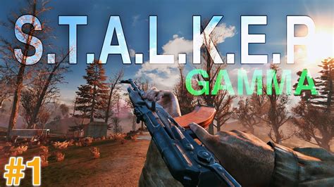update stalker gamma.